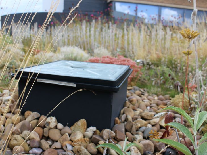 Blue roof chamber access on a green roof