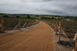 Erosion control mats / Geosynthetic reinforcement