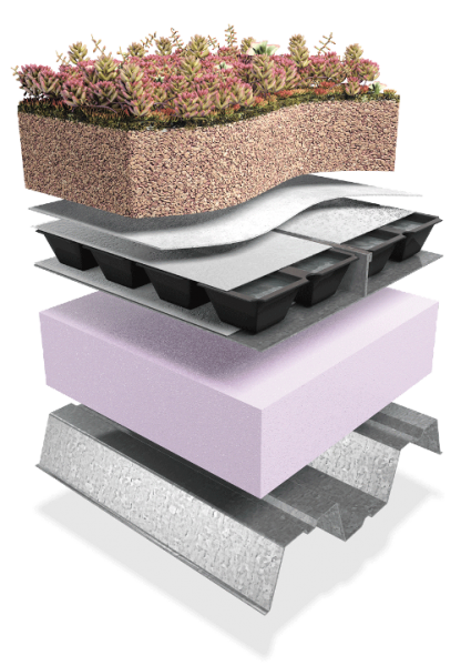 An Extensive Green Roof including drainage & reservoir layer, growing media and plug plants.